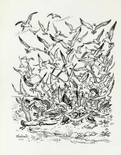 Norman Thelwell - \'I warned you against fish paste sandwiches\'