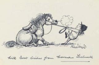 Norman Thelwell - The stubborn brute