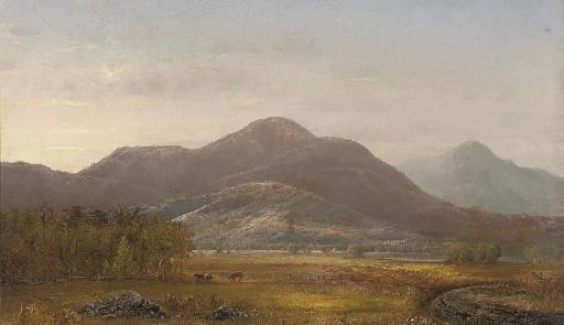 Norton Bush - Finney Peak, The Catskill Mountains,