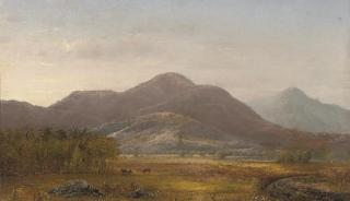 Norton Bush - Finney Peak, The Catskill Mountains,