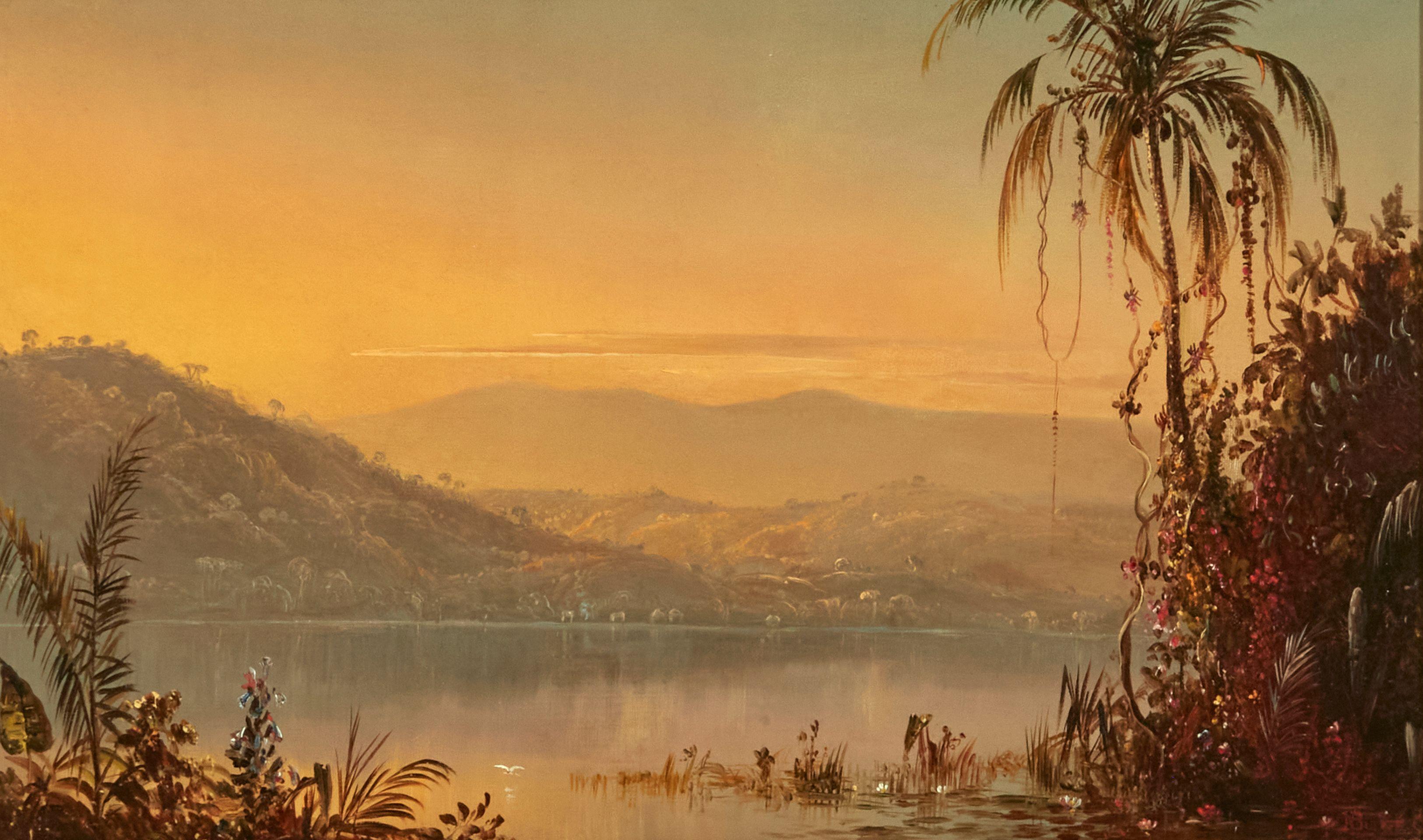 Norton Bush - Tropical Sunset