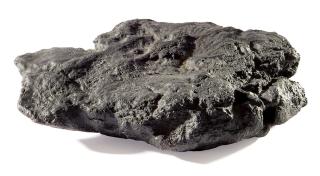 Not Vital - Cow Dung. 1989/90.