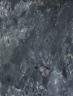 Not Vital - First Steps Ii