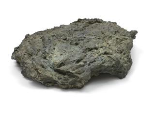 Not Vital - Kuhfladen