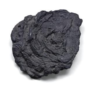 Not Vital - Kuhfladen