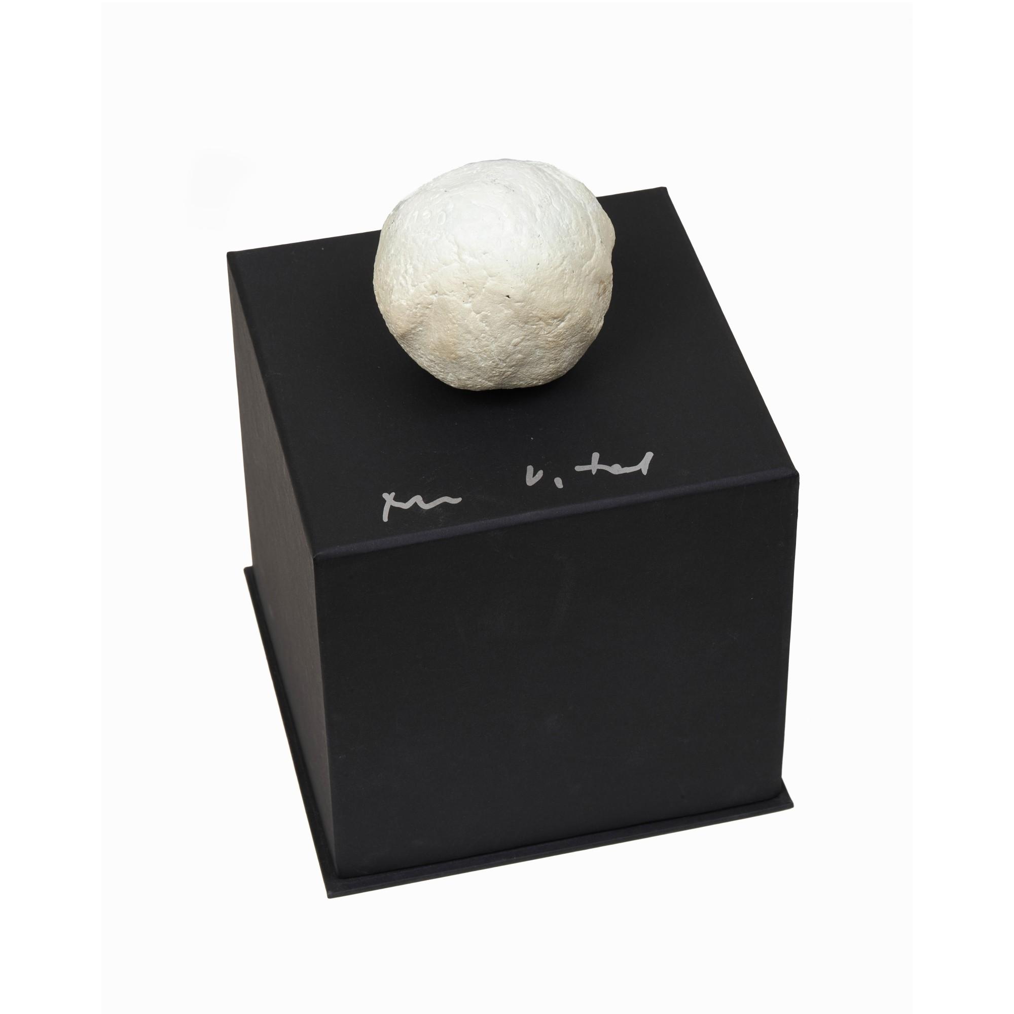 Not Vital - Palle di neve