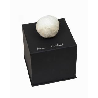 Not Vital - Palle di neve