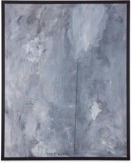 Not Vital - Snow Blind