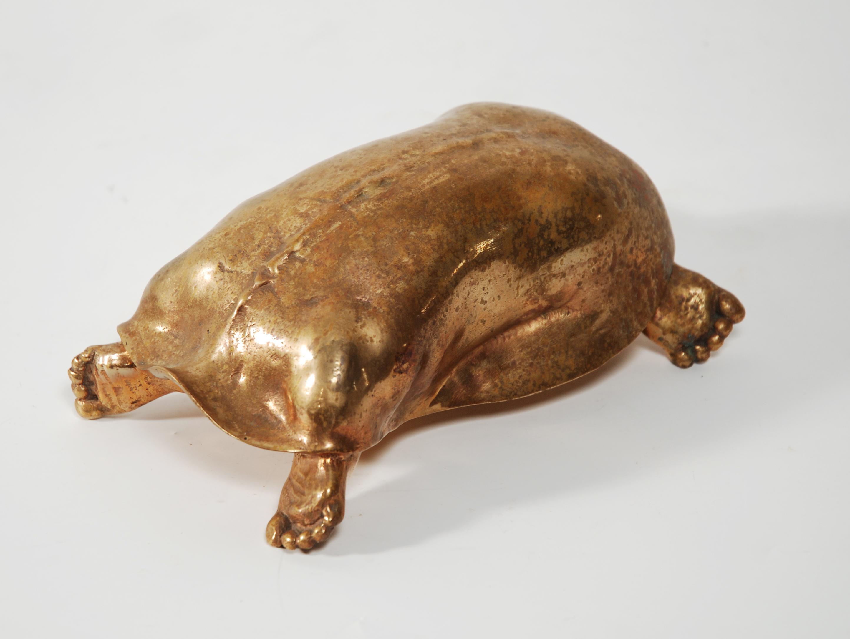 Novello Finotti - Donna tartaruga