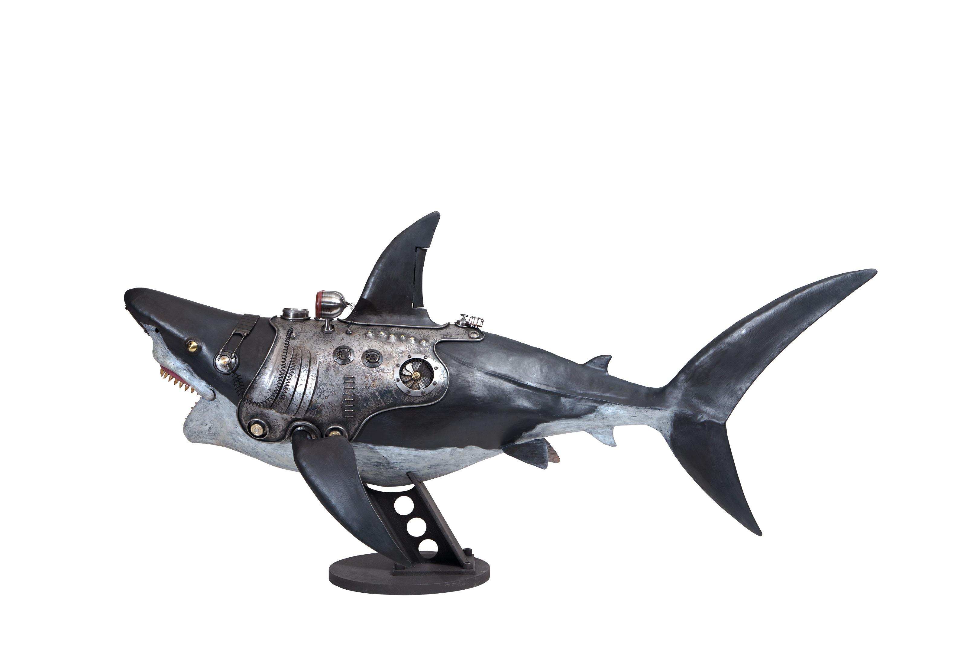 Nozomu Uchida - SURVEY SHARK