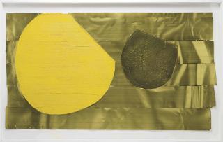 Nuno Ramos - Folha seca