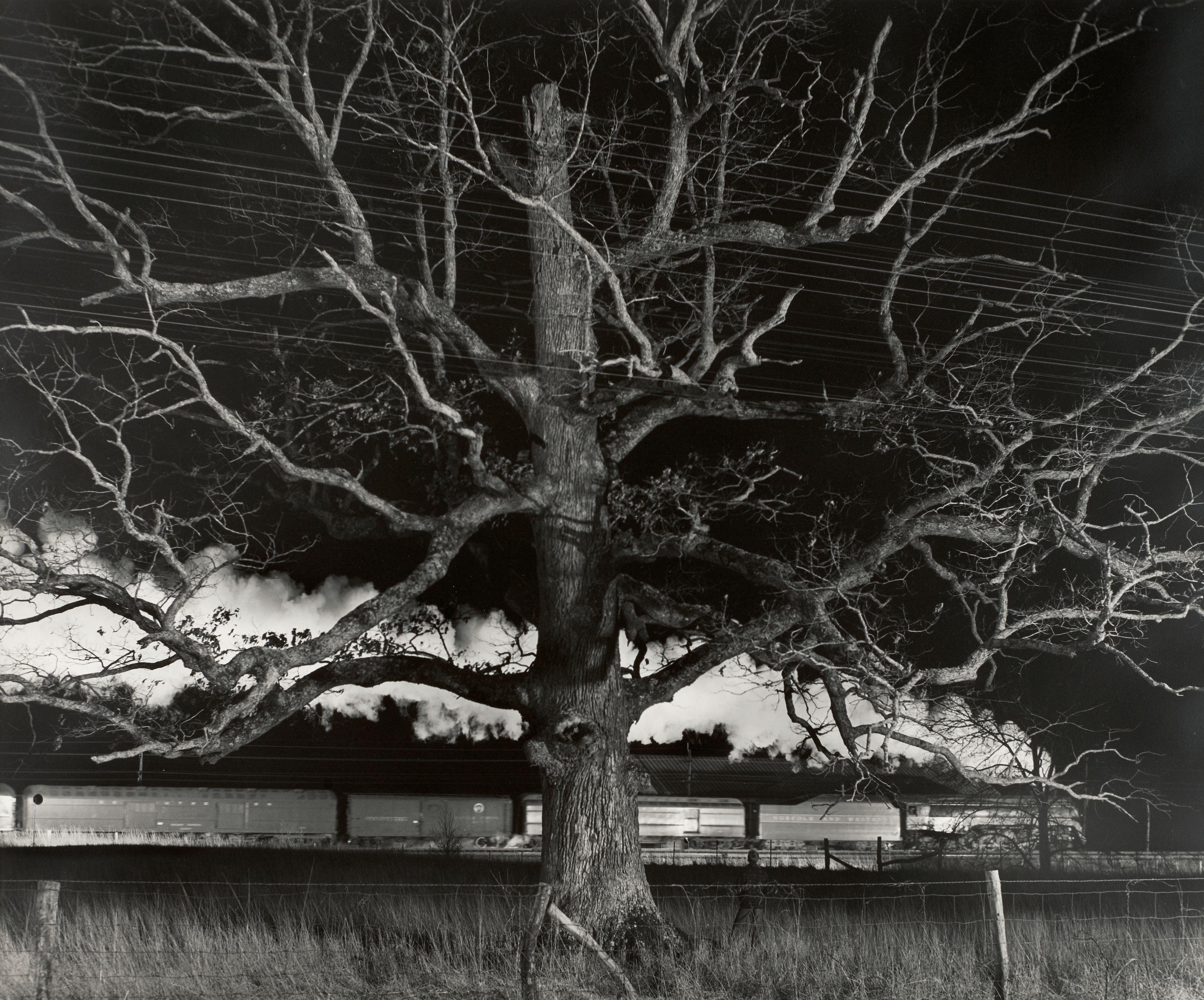 O. Winston Link - Giant Oak with Train No. 17, The Birmingham Special, Max Meadows, Virginia