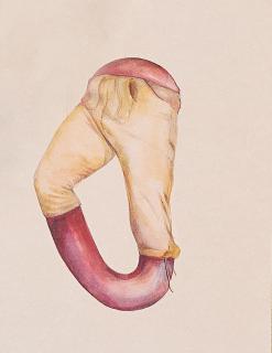 Oda Jaune - First Water