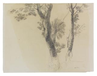 Odilon Redon - Étude D\'Arbres