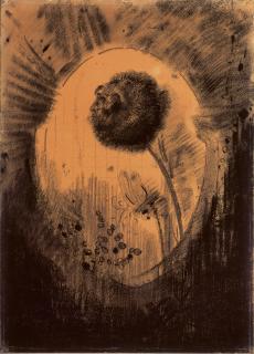 Odilon Redon - Il y a peut-être une première humanité essayée dans la fleur