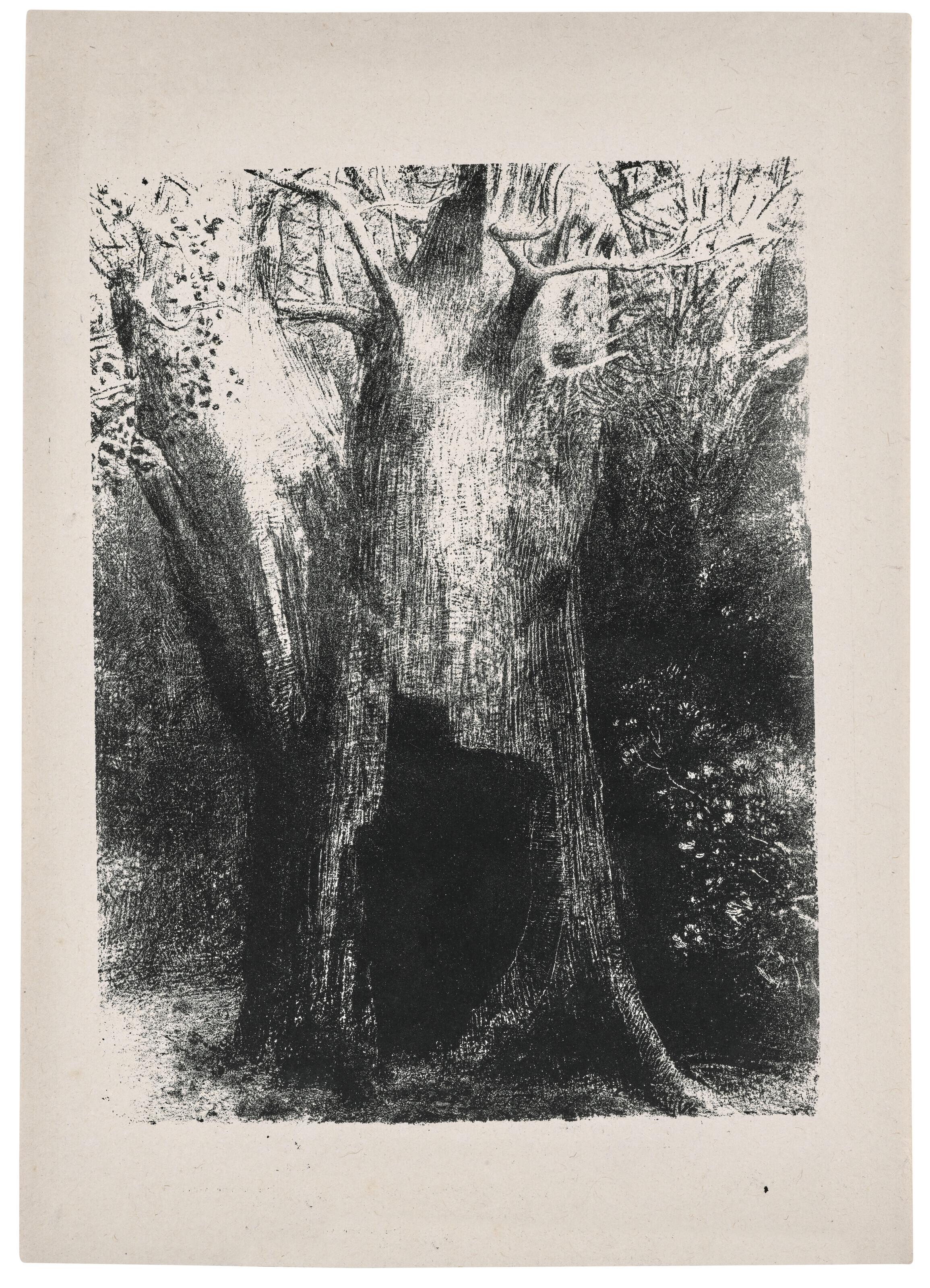 Odilon Redon - Je me suis enfoncé dans la solitude. J\'habitais l\'arbre derrière moi, planche issue de La Tentation de Saint Antoine