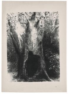 Odilon Redon - Je me suis enfoncé dans la solitude. J\'habitais l\'arbre derrière moi, planche issue de La Tentation de Saint Antoine