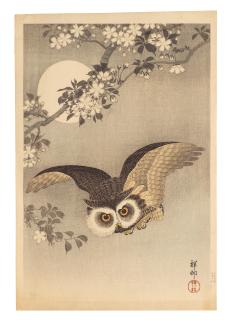 Ohara Koson - A scops owl flying beneath a flowering cherry branch with the full moon behind