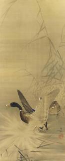 Ohara Koson - Hanging scroll, ink and colour on silk of two ducks amongst reeds, one taking off into flight, signed and sealed Koson