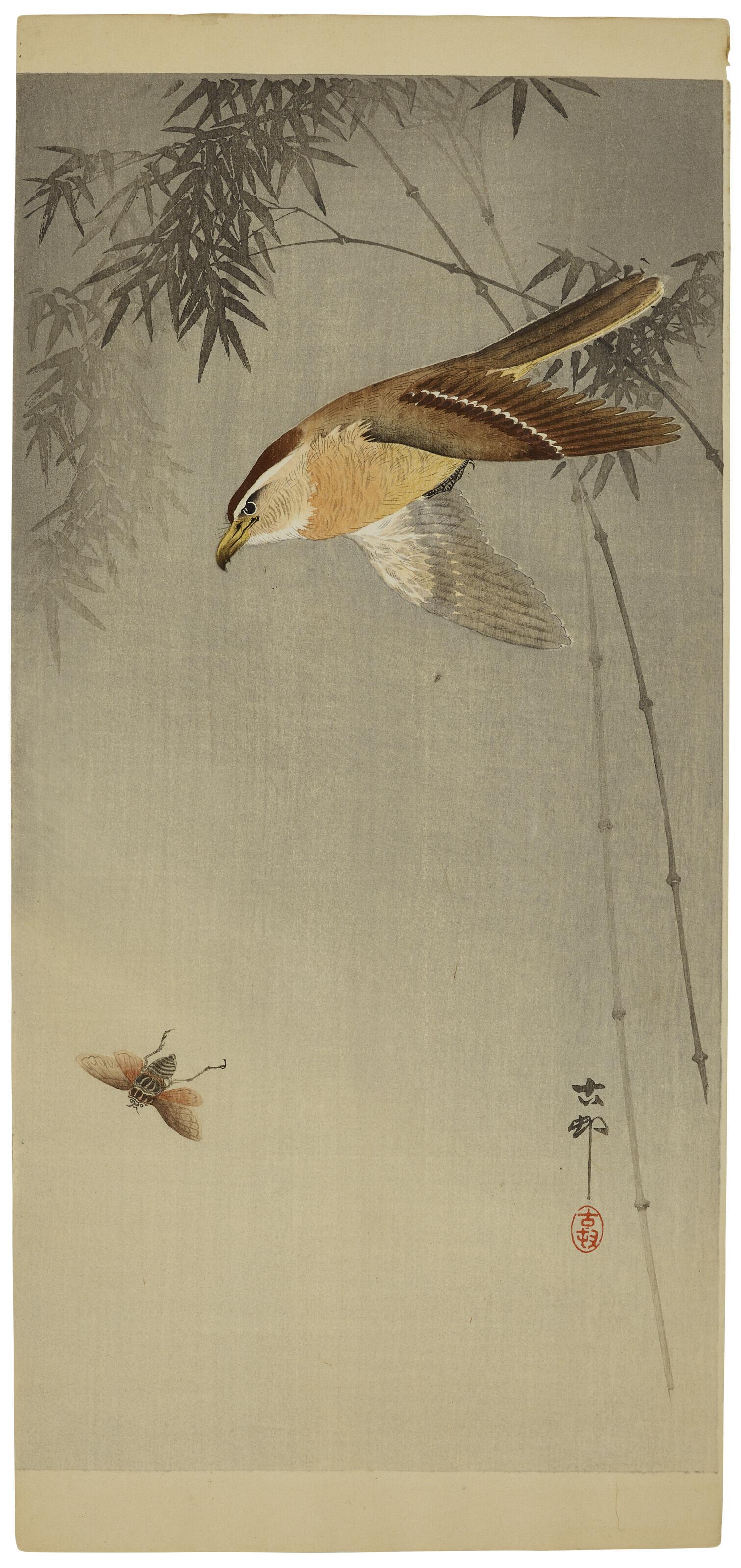 Ohara Koson - Hawking Chasing an Insect