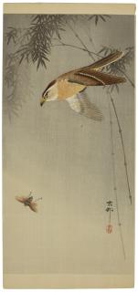 Ohara Koson - Hawking Chasing an Insect