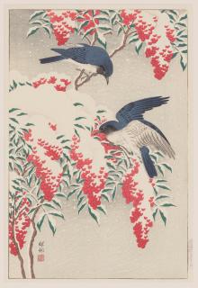 Ohara Koson - Nanteen Bush and Flycatcher in Snow