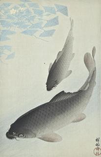 Ohara Koson - Woodblock, of two carp, signed Shoson and sealed in red Shoson, publised by Watanabe Shozaburo, good impression and colour, framed and glazed