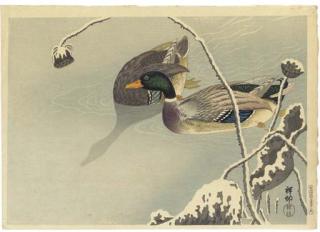 Ohara Shoson - Mallard ducks Swans Cock, hen and chicks Peacock