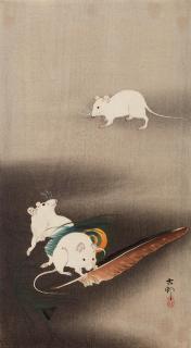 Ohara Shôson - Ôtanzaku. Three white mice nibbling at a feather
