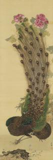 Okamoto Shuki - Peacocks and rose mallows
