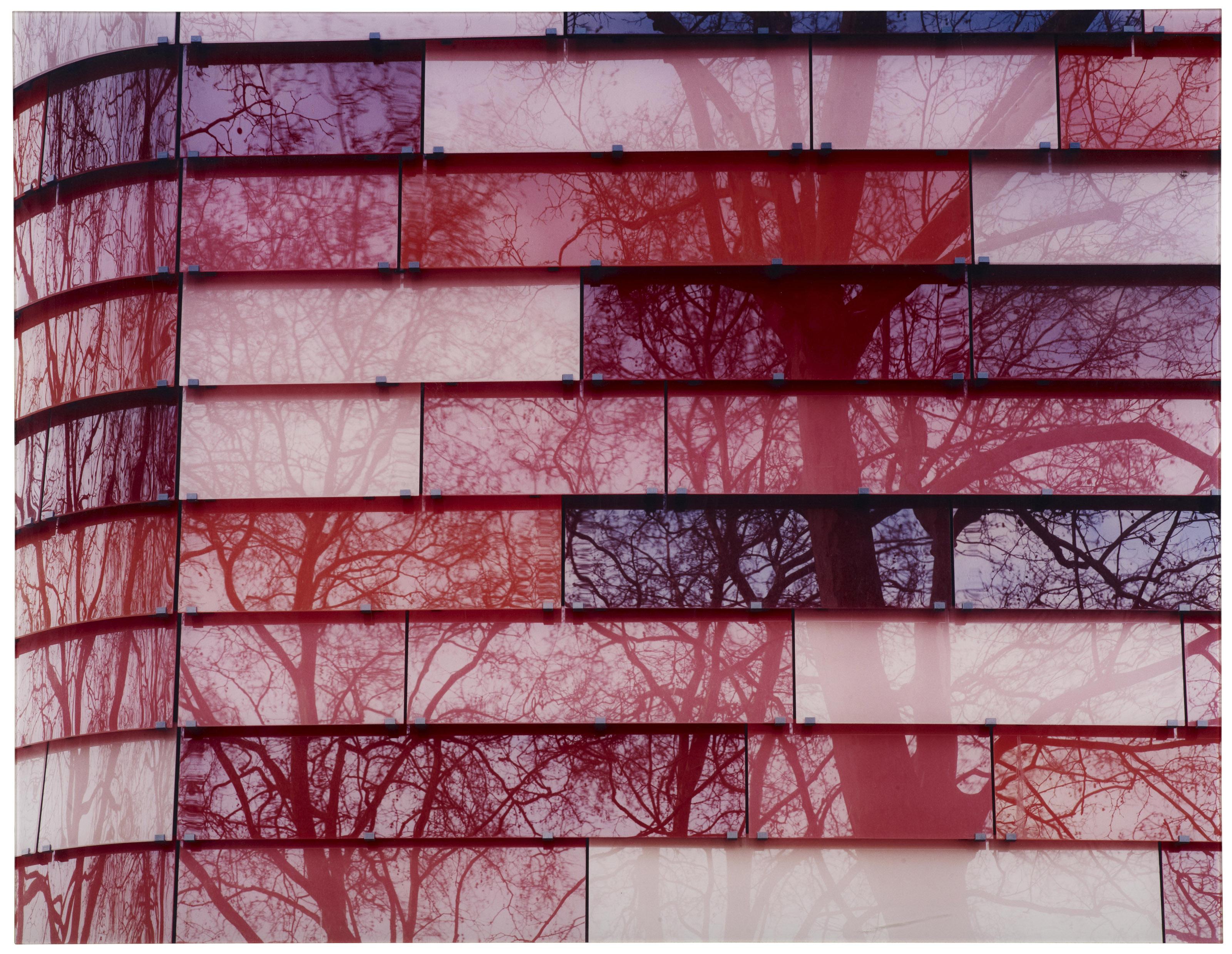 Ola Kolehmainen - See What You See (Composition in a Garden), 2006/ 07