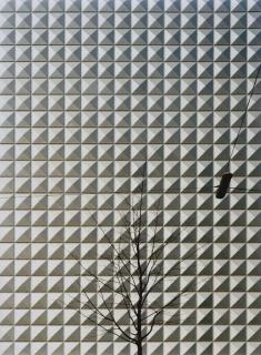 Ola Kolehmainen - Untitled (No. 13)