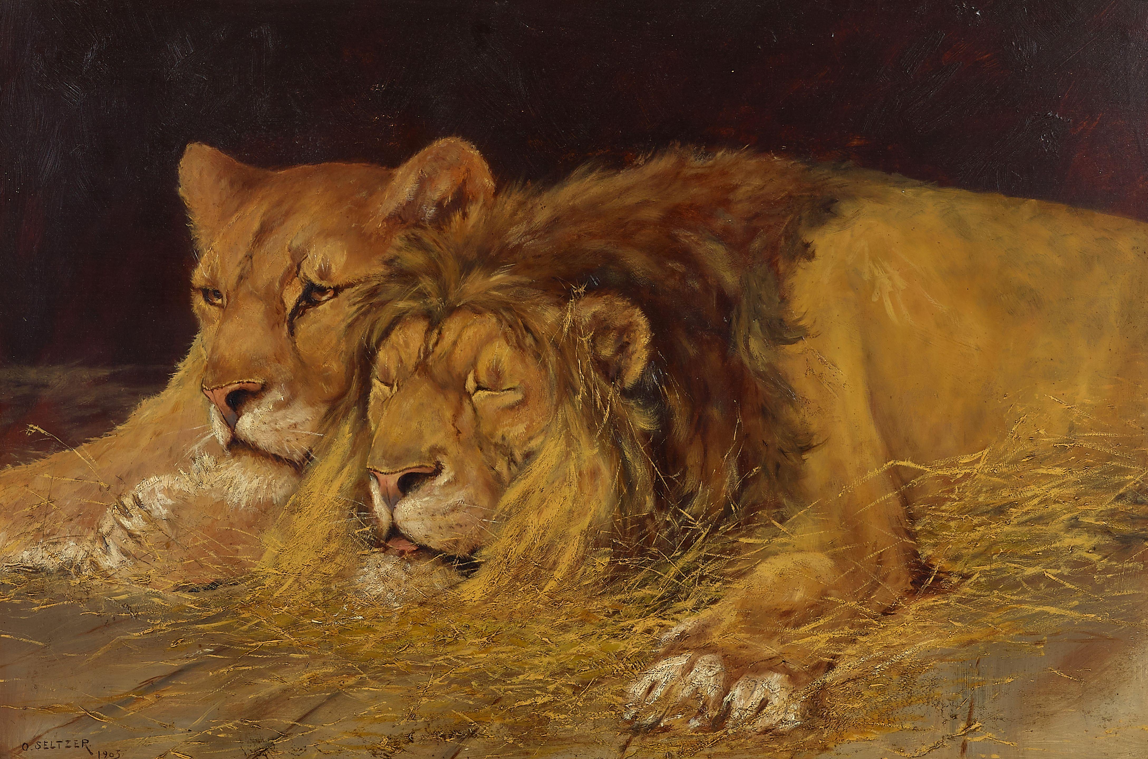 Olaf Carl Seltzer - A resting lion and lioness