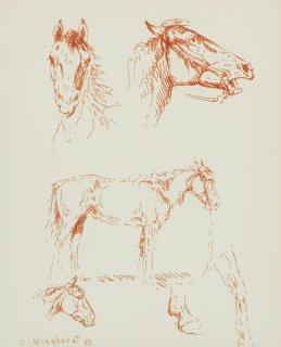 Olaf Carl Wieghorst - Studies of a Horse