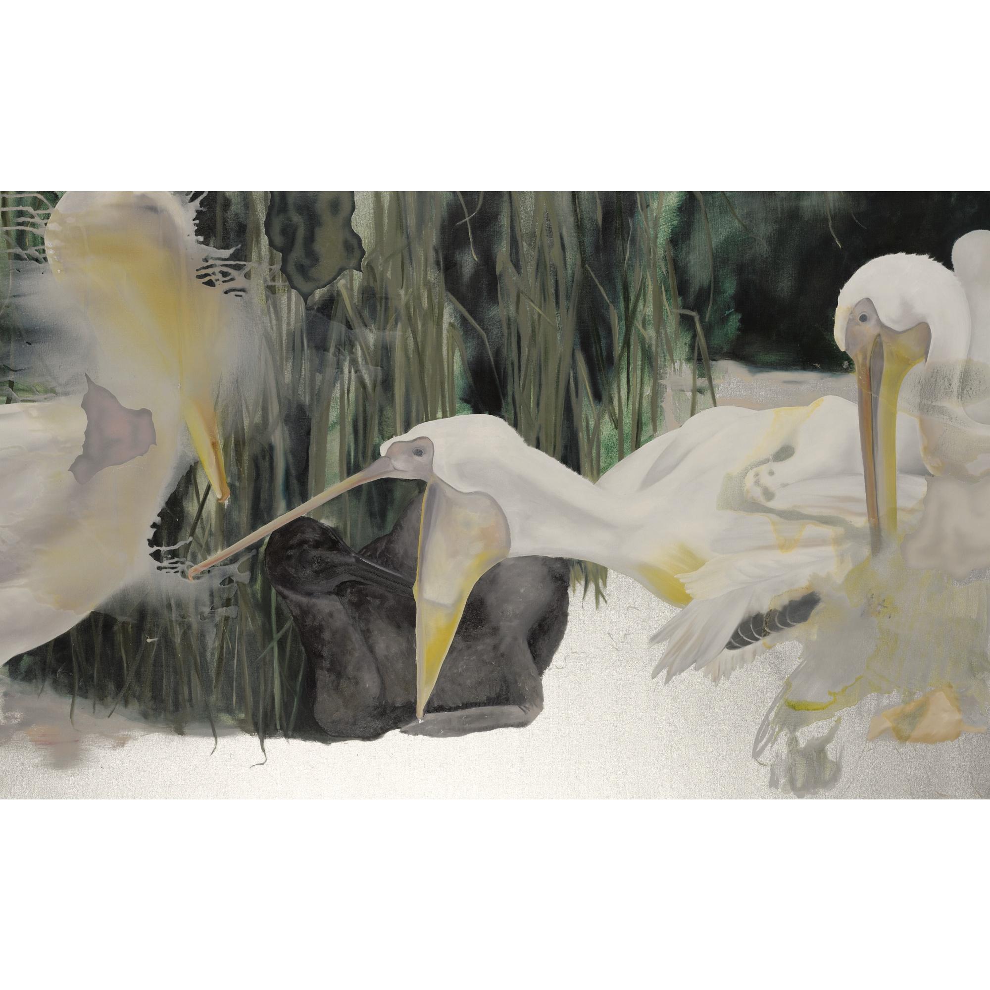 Olaf Quantius - Pelikane