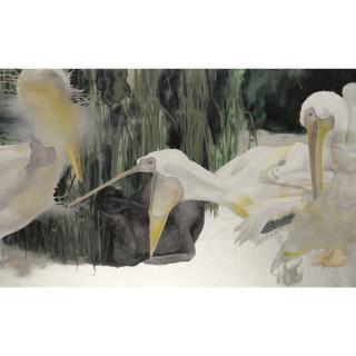 Olaf Quantius - Pelikane