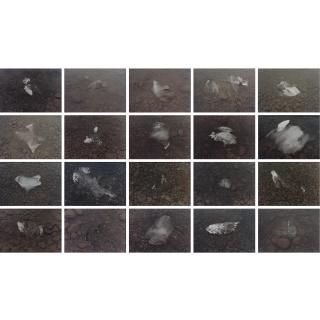 Olafur Eliasson - Melting Ice Series