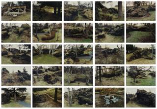 Olafur Eliasson - The Park Series