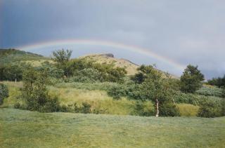 Olafur Eliasson - Untitled