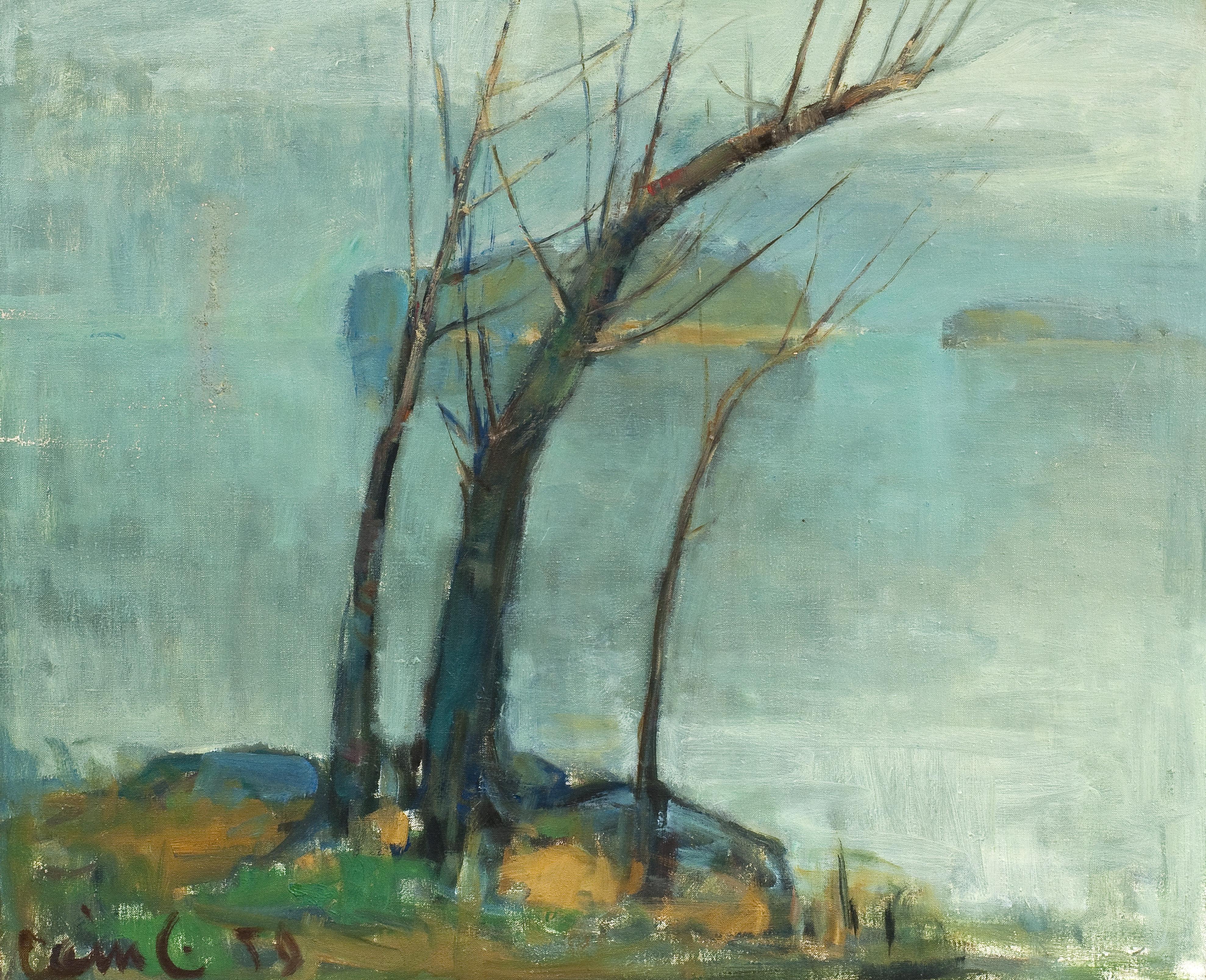 Olavi Laine - Dimmig Dag