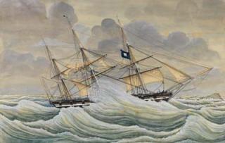 Ole Johnson-Seböy - Bark \