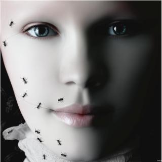 Oleg Dou - I Hate Stupid People