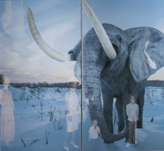 Oleg Kulik - Mammoth From The Window Series