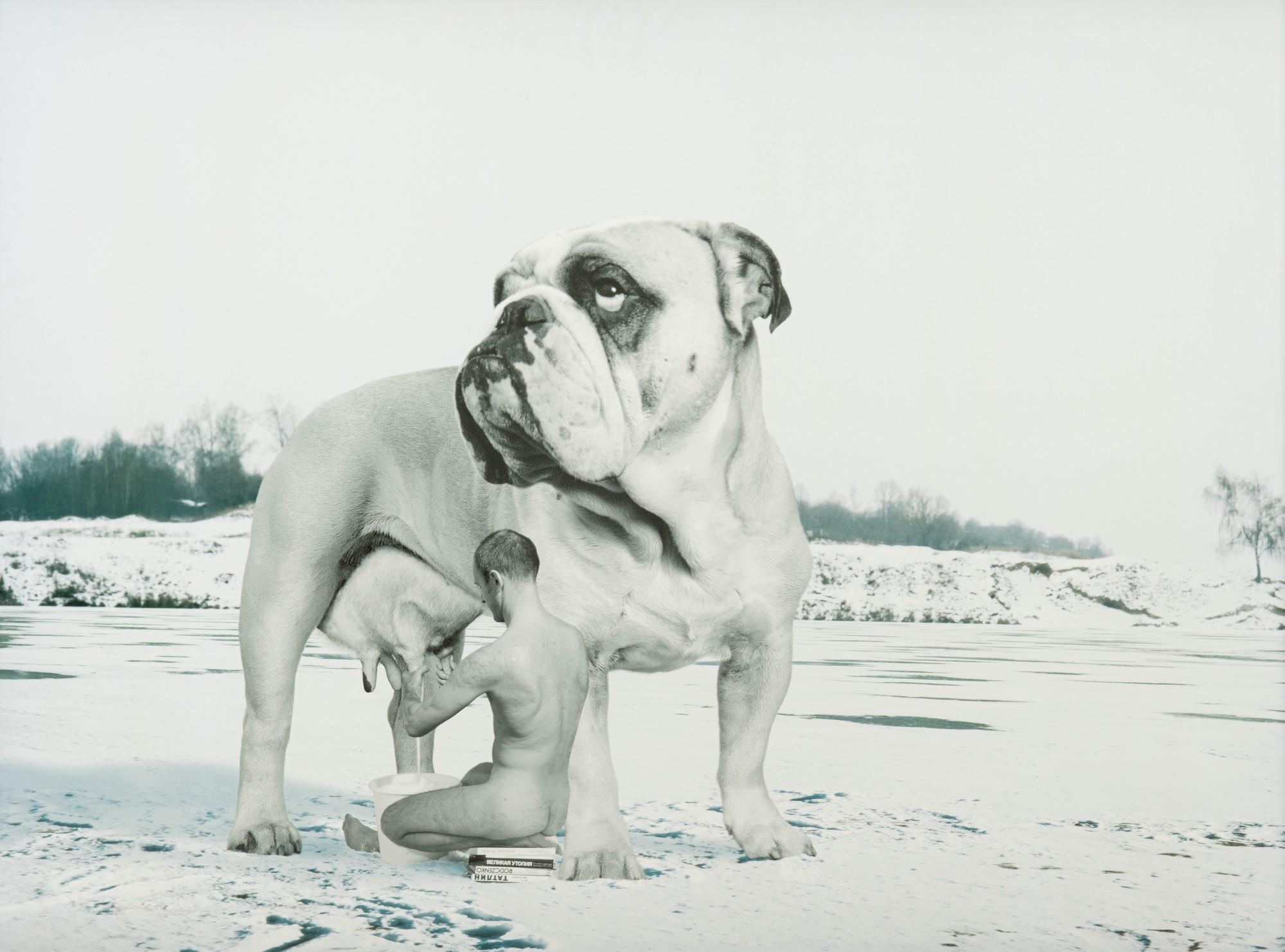 Oleg Kulik - The Russian - Big Milk (from the series \