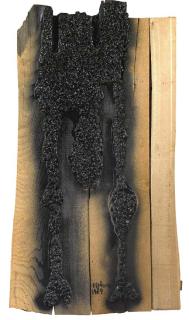 Olga Carol Rama - Organismi Ancora Ben Definiti E Vulnerabili