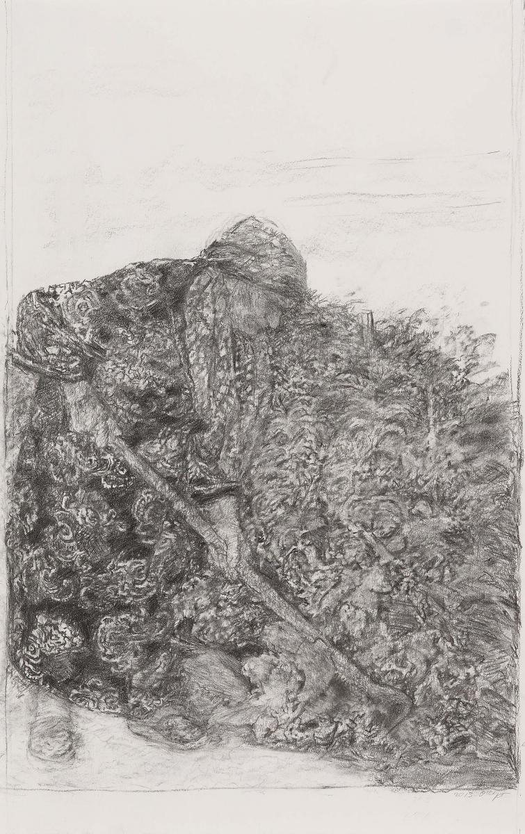 Olga Chernysheva - Ohne Titel (Seasons)