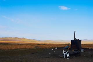 Olga Delane - Nr. 12 aus der Serie \