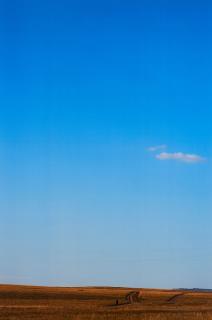 Olga Delane - Nr. 7 aus der Serie Einsamkeit.