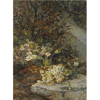Olga Wisinger-Florian - Austrian schneerosen (Hellebores)