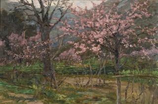 Olga Wisinger-Florian - Austrian spring Blossom
